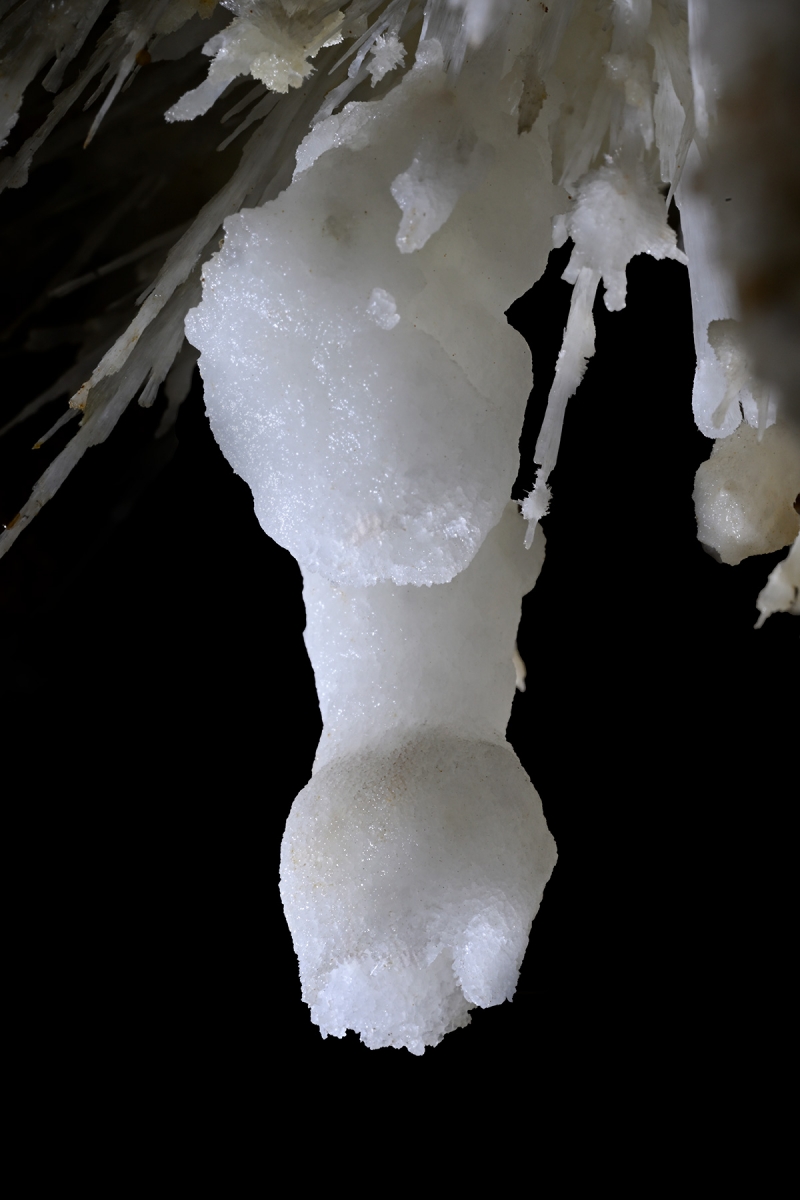 Gruta do Tamboril (Minas Gerais, Brésil) -  Détail d'une concrétion d'aragonite en forme de bourgeon 